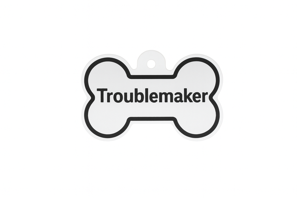 TROUBLEMAKER