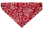 Red Bandana Collar